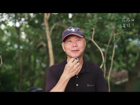 后豐社區大學~后豐淺山生態探索【后里鳳凰山】