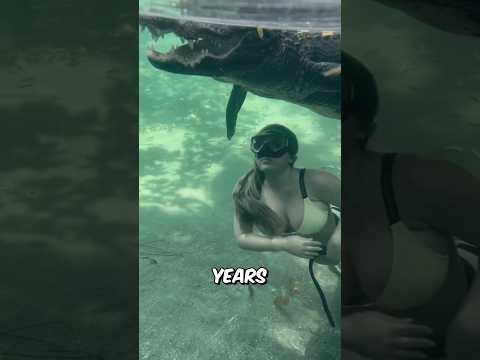 Wild Loyalty: A Croc’s Lifelong Friend