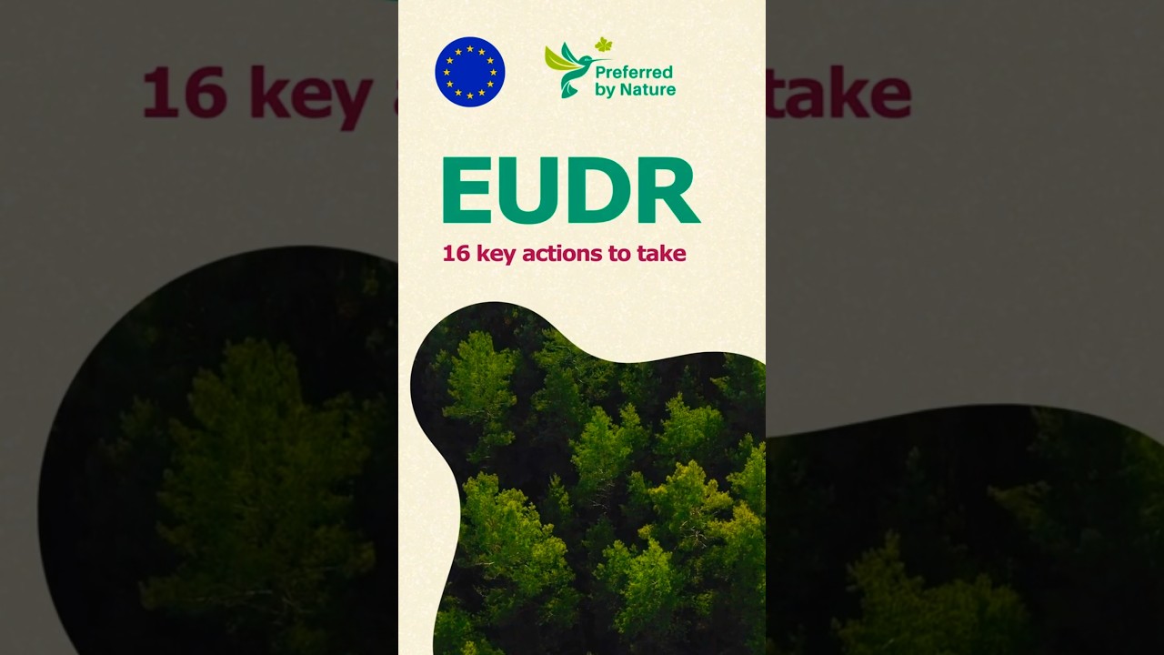 EUDR: 16 key actions to take