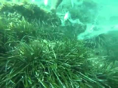 une journée de pêche au Mahdia tunisie