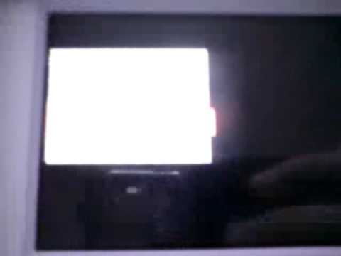 Pokemon Pearl. Raining in route 213