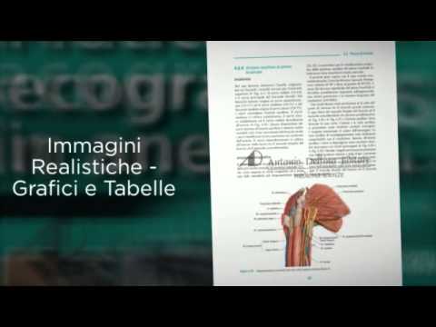 Prezzi più bassi su risonanza magnetica al ginocchio Artrite caviglia ICD