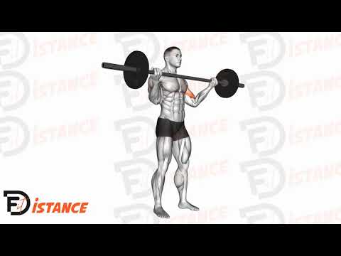 Exercice Curl biceps debout avec barre prise large