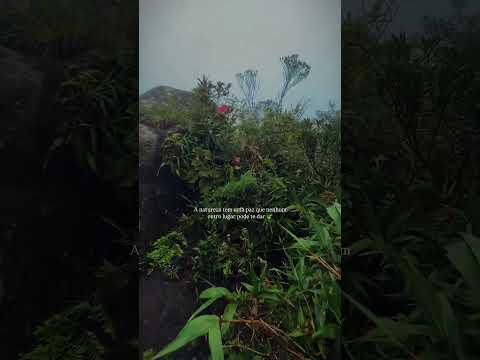 #morropaodeloth #natureza #paraná #quatrobarras