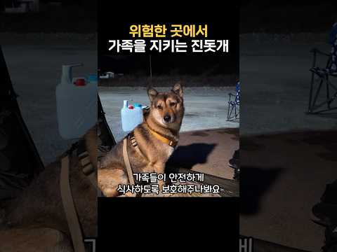 조상님들이 진돗개를 키운 이유