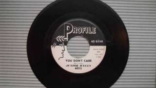 Junior Wells - You Don't Care