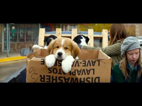 Był sobie pies - Kino Merkury zaprasza!