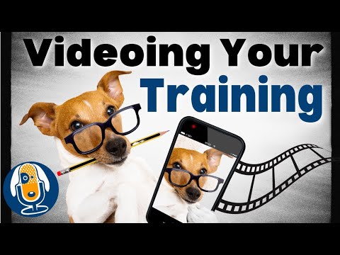 Become Your Own Dog Training Coach With This Video Strategy #133 #podcast