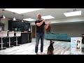 Teach your dog to focus on you