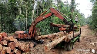 Download lagu tehknik tarik kayu balak dirawa rawa (paya). mp3 Download lagu tehknik tarik kayu balak dirawa rawa (paya). mp3