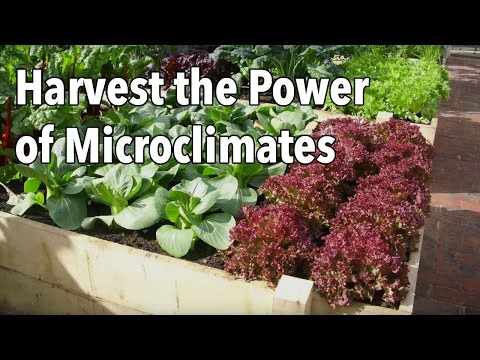 Harvest the Power of Microclimates