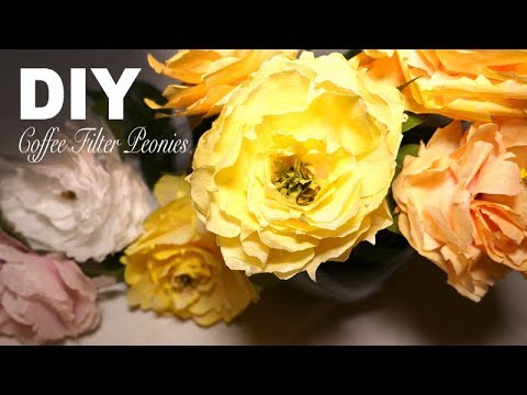 download lagu mp3 mp4 Coffee Filter Flowers Peonies, download lagu Coffee Filter Flowers Peonies gratis, unduh video klip Coffee Filter Flowers Peonies