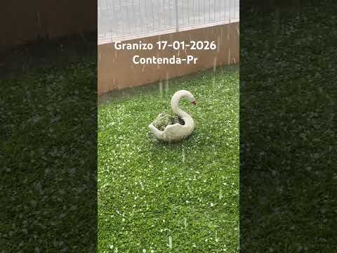 Chuva forte com granizo. 17-01-2026. Contenda-Pr
