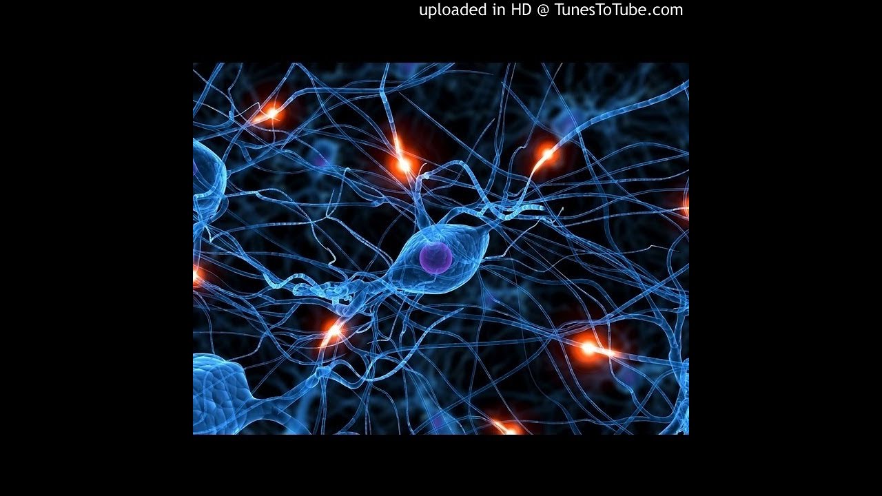 Claudio Pedro Cornejo Torres-54