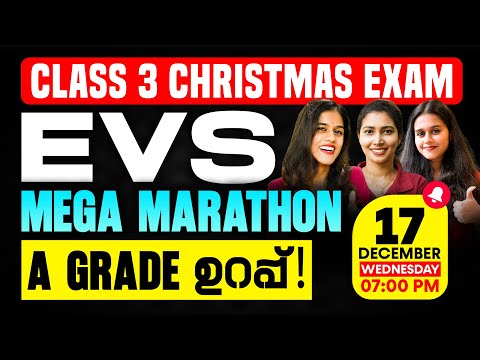 Class 3 EVS Christmas Exam | Final Marathon | Exam Winner