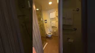 Carnival Firenze Terrazza Premium Vista Balcony Cabin 6506 #carnivalcruise #carnivalfirenze