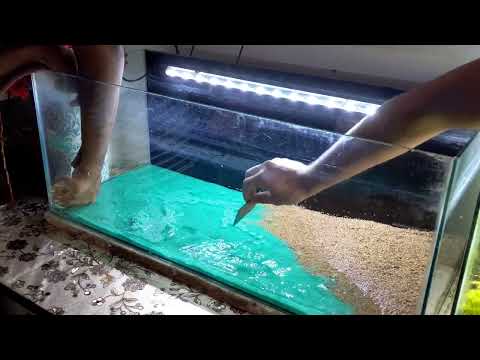 Fish Aquarium Prison Tank Decorations