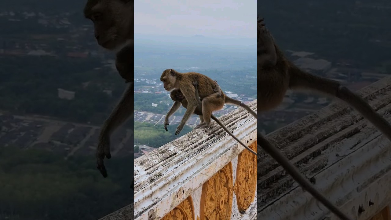 YouTube Short thumbnail