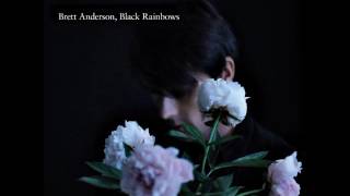 Brett Anderson - The exiles