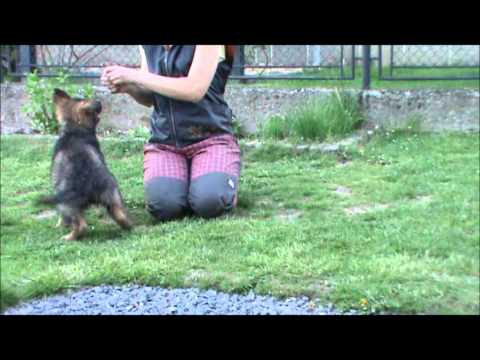 Isabella z Jukasu - first steps :-)