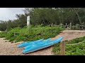 Tarisa Resort Beach Of Mauritius Mauritius Beach Tarisa Resort Sea Island Travel Fun
