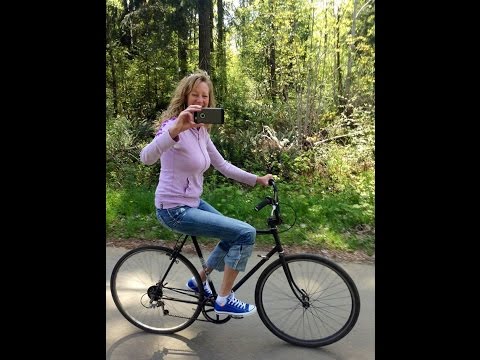 The Living Library - on bikes