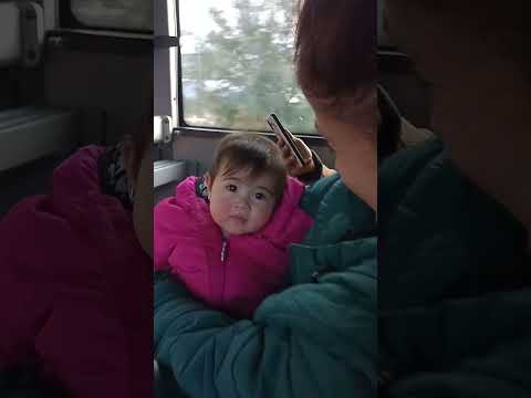la lucy Blanca y su mamá luchy, Lujan de cuyo , Mendoza, argentina , viaje en andesmar a cacheuta
