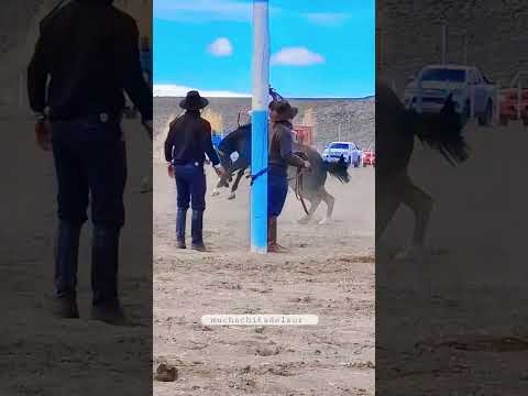 clinero de chubut en jineteada de teka chubut raul bujer #jineteschubut #jinetes #muchachitadelsur