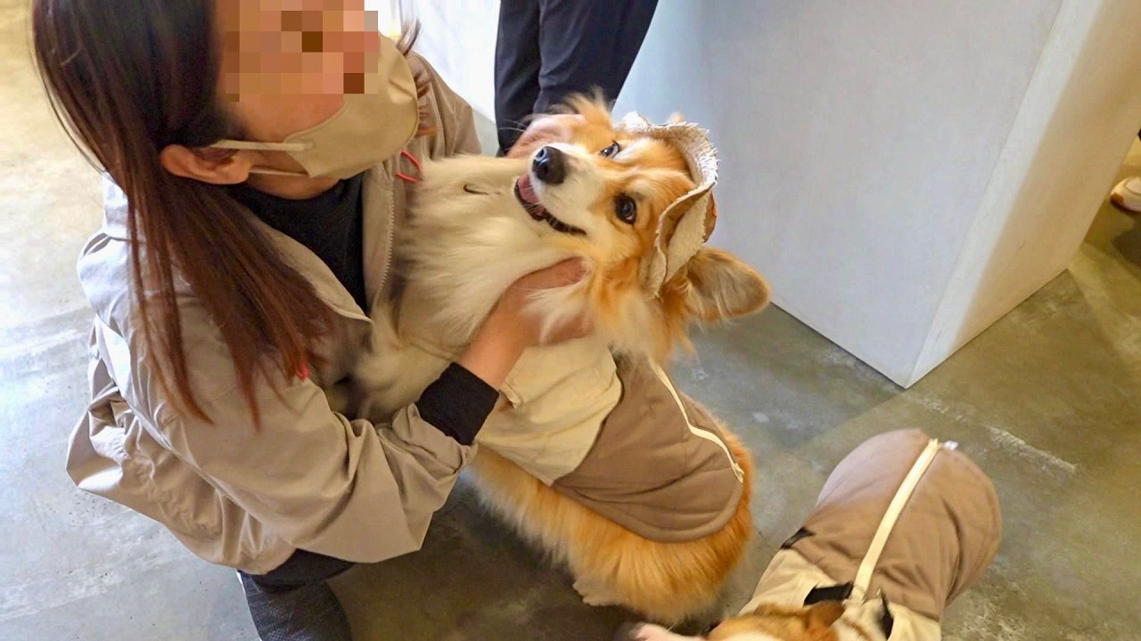 大好きな「ショップ店員」に会えて嬉しさを爆発させる犬｜家族で札幌の中心街へお出かけした結果…