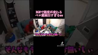 BGMで態度が変わるペロ愛面白すぎるww#shorts #レイクレ