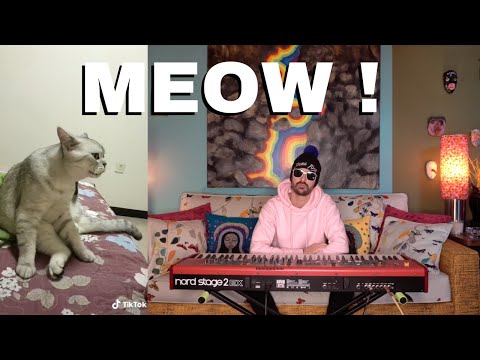 French Fuse - La Valse du Chat [ Cat Meowing Waltz ]