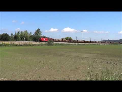 Comboio nº. 48894 - Linha do Oeste