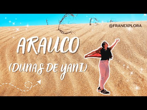 Un desierto frente al mar en el Bío Bío? Dunas de Yani - Arauco