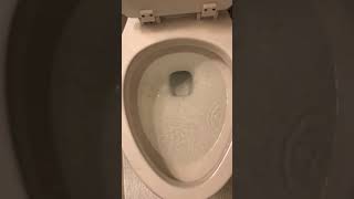 Toilet (not) flushing