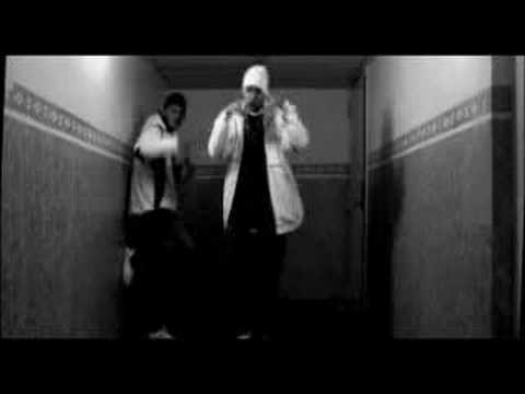 Kingsize - Gatusmart