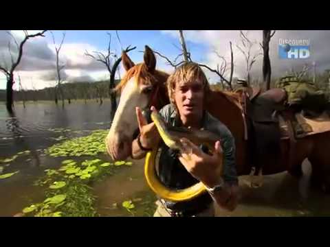 Austin Stevens - Ein tödlicher Amethyst (1/5)