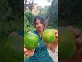 Tasty Masala Lemon Shorts Trending