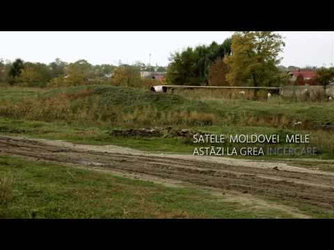 AKORD & Anastasia Lazariuc – Satele Moldovei Mele I Official Video
