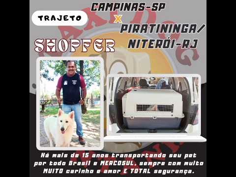 CAMPINAS-SP para PIRATININGA/NITERÓI-RJ ... " S H O P F E R " ... #taxidogmontanha #taxidog #pets