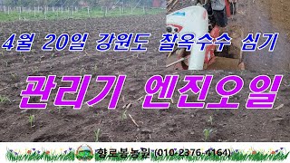 관리기 엔진오일 점검 너무 많이 넣으면 마후라에서 흰연기가 난다 -옥수수심기