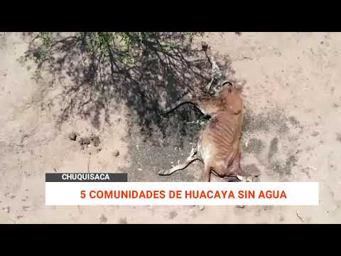 5 COMUNIDADES DE HUACAYA SIN AGUA