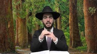 האם מותר לטלטל בבית נמוך מ10 טפחים, או על הגג | הרב יצחק מאזוז | סימן שמה טו- יז (מוסדות כיסא רחמים) - התמונה מוצגת ישירות מתוך אתר האינטרנט יוטיוב. זכויות היוצרים בתמונה שייכות ליוצרה. קישור קרדיט למקור התוכן נמצא בתוך דף הסרטון האם מותר לטלטל בבית נמוך מ10 טפחים, או על הגג | הרב יצחק מאזוז | סימן שמה טו- יז (מוסדות כיסא רחמים) - התמונה מוצגת ישירות מתוך אתר האינטרנט יוטיוב. זכויות היוצרים בתמונה שייכות ליוצרה. קישור קרדיט למקור התוכן נמצא בתוך דף הסרטון