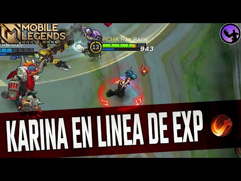Karina en línea de experiencia