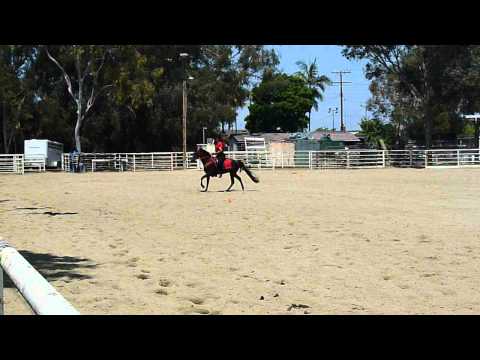 Happy Hoofer's Equestrian Drill Team Rehearsal
