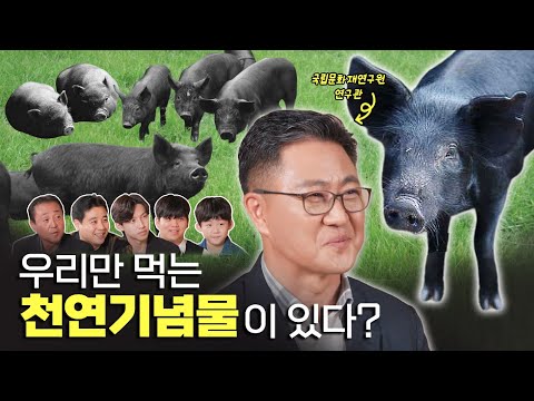 천연기념물 제주 흑돼지에 대한 세대별 반응은? (feat. 강정훈 학예연구관) | STEP 5 STEP(SUB)