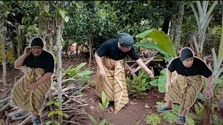 Download lagu CEU PIYAH KA LENGITAN NENG IMAS || SAONG NYIEUN PANIK CEU PIYAH #CEU PIYAH #BODORANSUNDA mp3 Download lagu CEU PIYAH KA LENGITAN NENG IMAS || SAONG NYIEUN PANIK CEU PIYAH #CEU PIYAH #BODORANSUNDA mp3