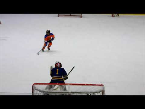 Nájezdy HC Lvi 2009, ročník 2011 proti Střelcům Jindřichův Hradec, 2018