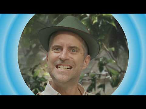 download lagu mp3 mp4 Coolshop De, download lagu Coolshop De gratis, unduh video klip Coolshop De