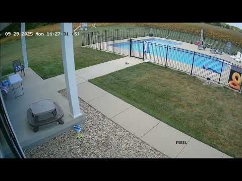 Here's a dust devil, a type of whirlwind