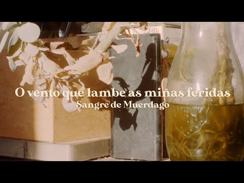 SANGRE DE MUÉRDAGO - O vento que lambe as miñas feridas -  Official video 2023